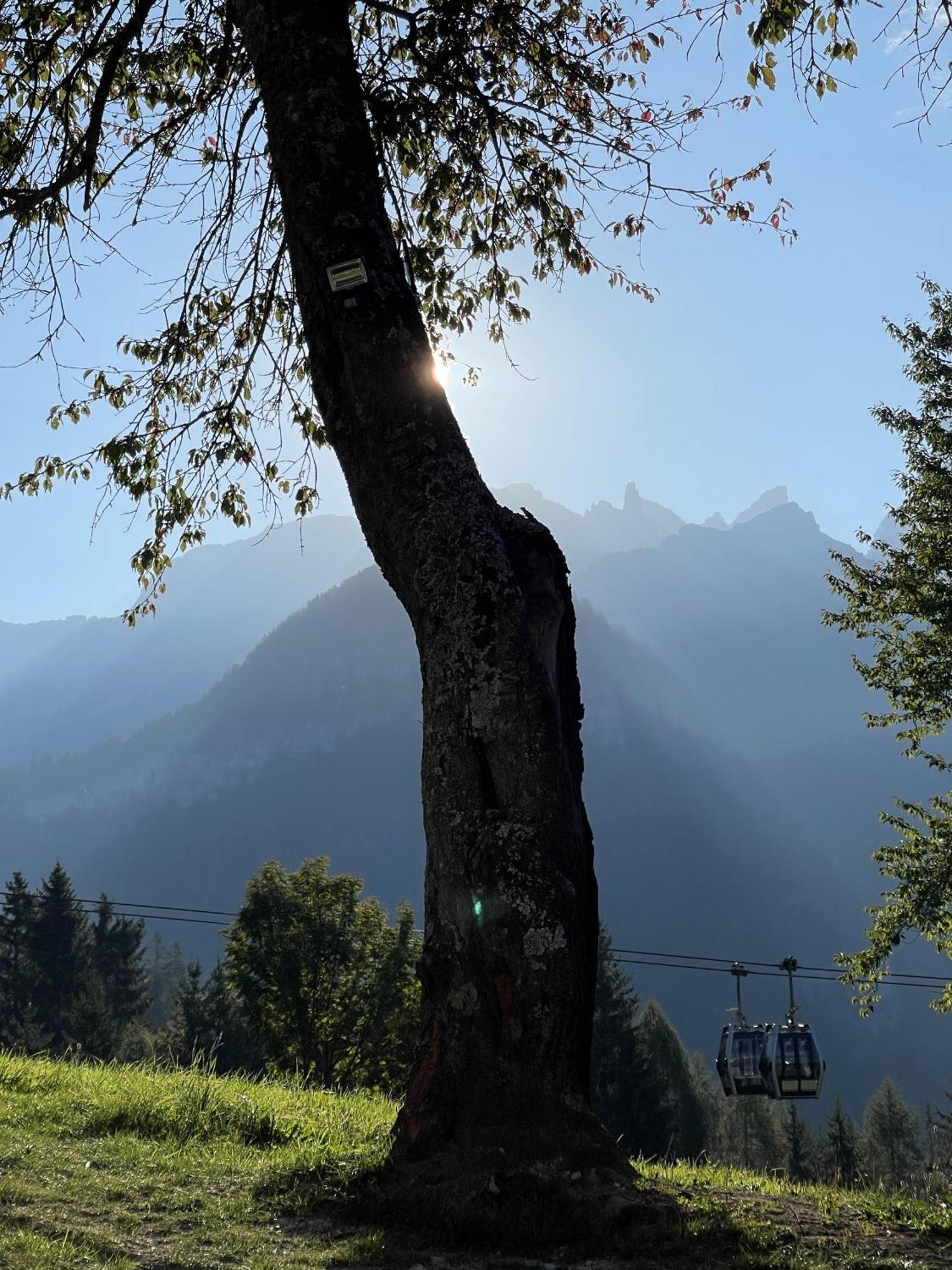 Villa Alpina Campiglio Madonna Exterior foto