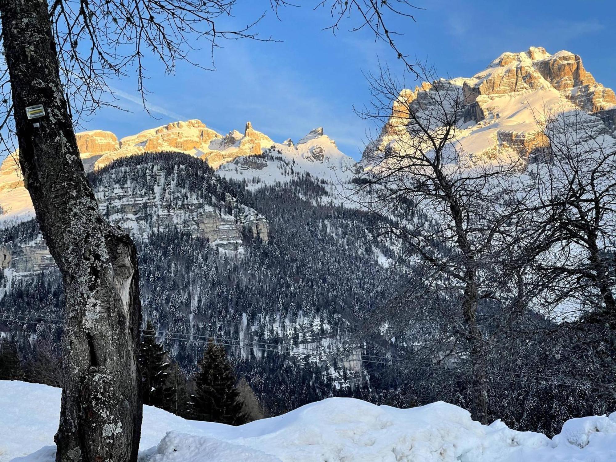 Villa Alpina Campiglio Madonna Exterior foto