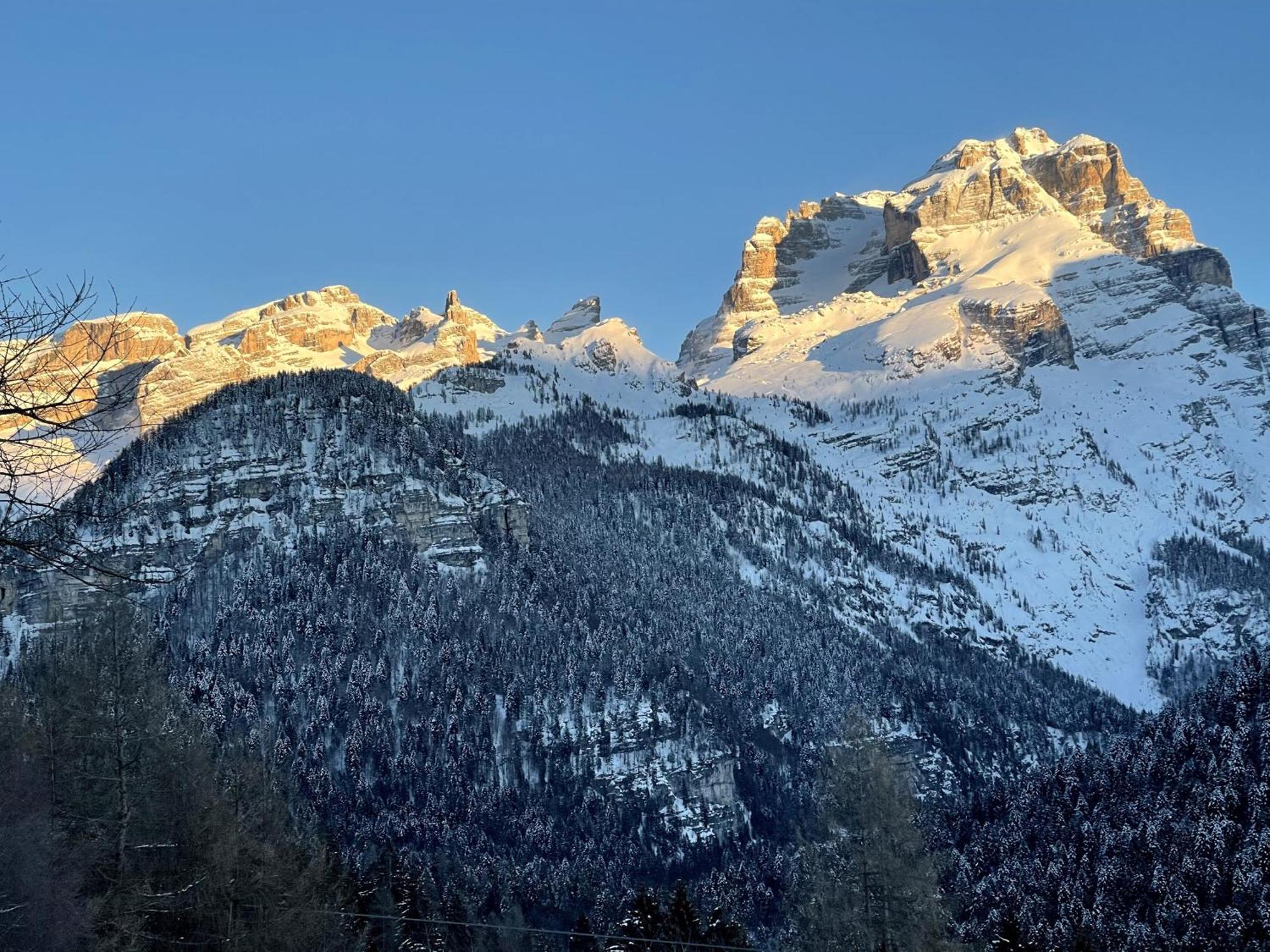 Villa Alpina Campiglio Madonna Exterior foto
