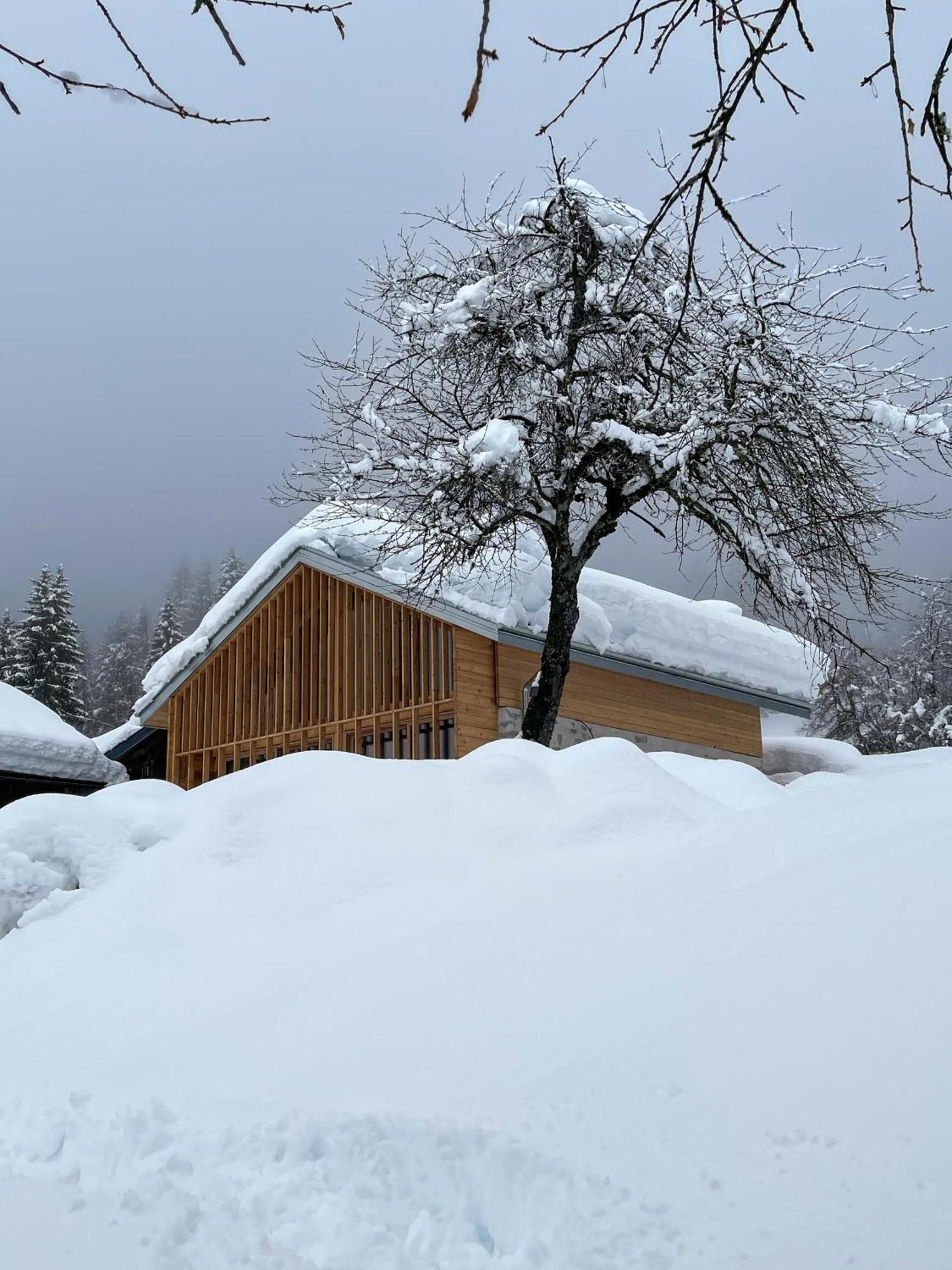 Villa Alpina Campiglio Madonna Exterior foto